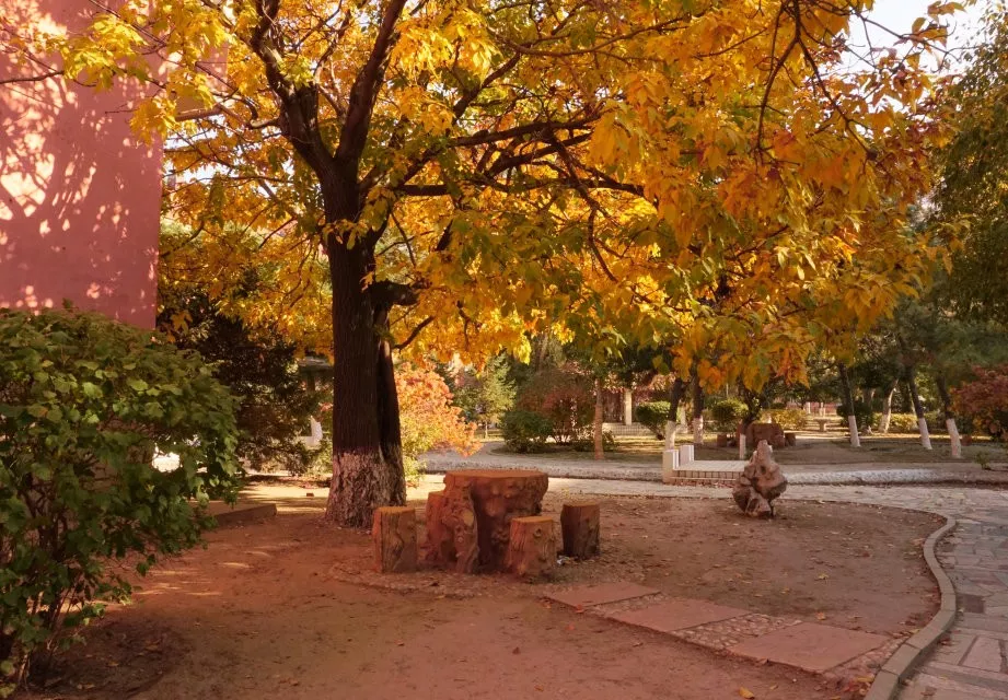 辽宁工程技术大学，来了
