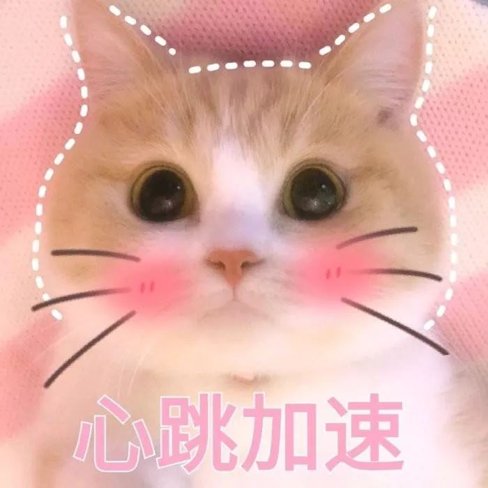 收藏！普通大学里的王牌专业一览表！考上你就赚了