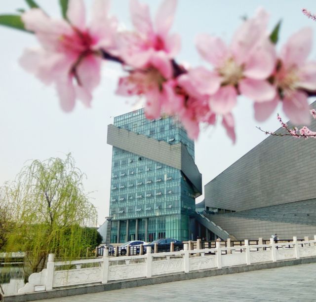 这7位女司长、航母女军官、女秘书长，都毕业于江苏这所