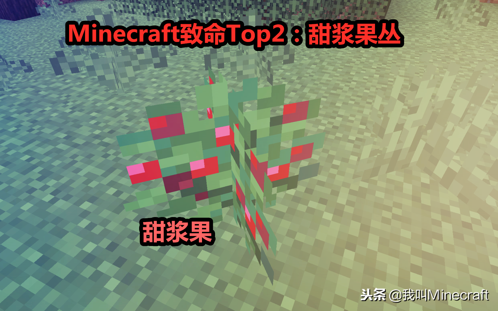 谁说《我的世界》就只有怪物最危险了？这些植物你也一样惹不起！