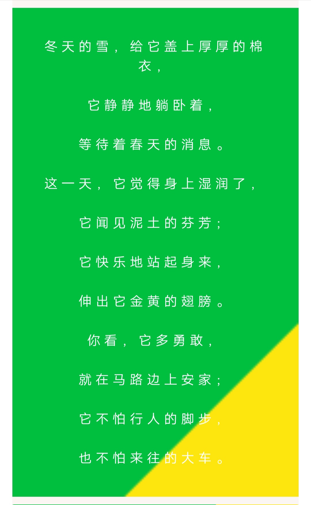 关于植物的现代诗歌 冰心写的诗歌 - 汽车时代网