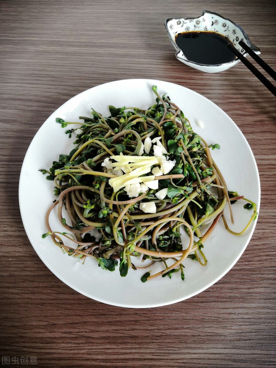 药食两用的马齿苋，有5方面的药理作用，很多人可以从中获益