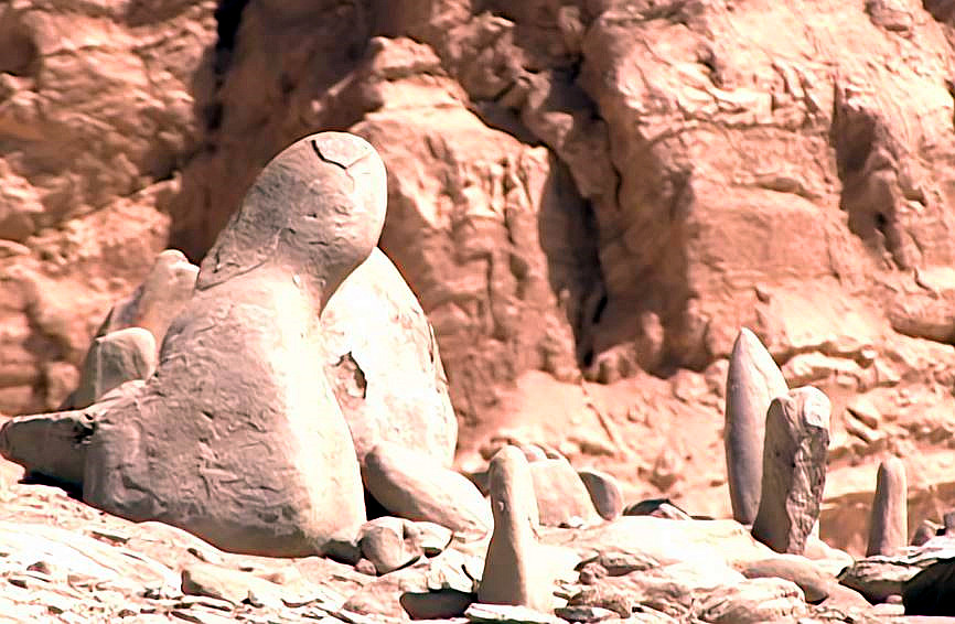 一神秘洞穴惊现15万年前