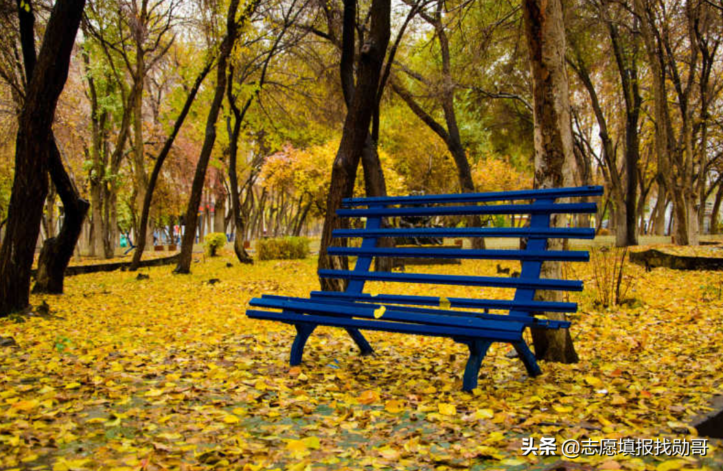 这所211大学，有3个省的考生，二本就能上！超值