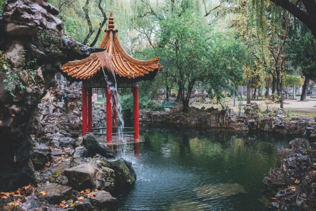 最高616分！曲阜师范大学公费师范录取分数创新高，生源质量向好