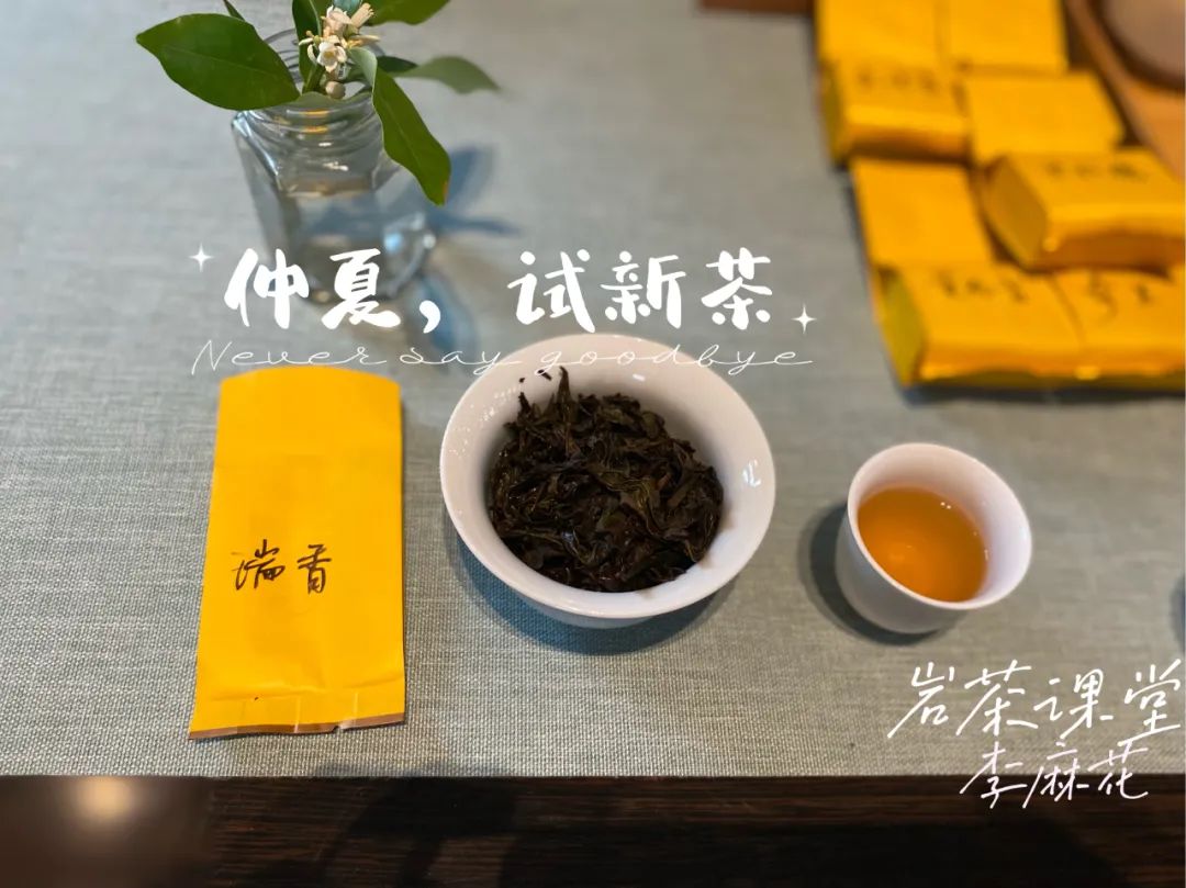 奇兰、 九龙袍、春兰、北斗，2021武夷岩茶十二金钗天团，正式出场