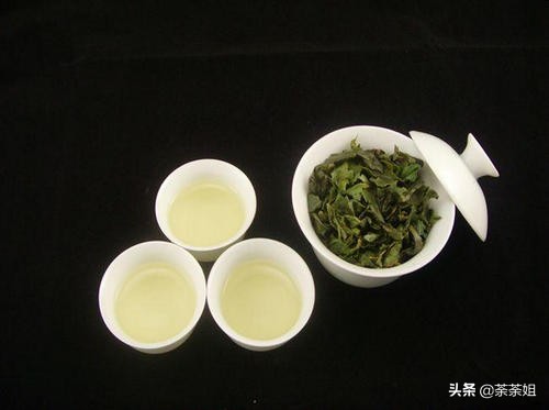 乌龙茶是什么茶（一起从零开始学茶的教程）