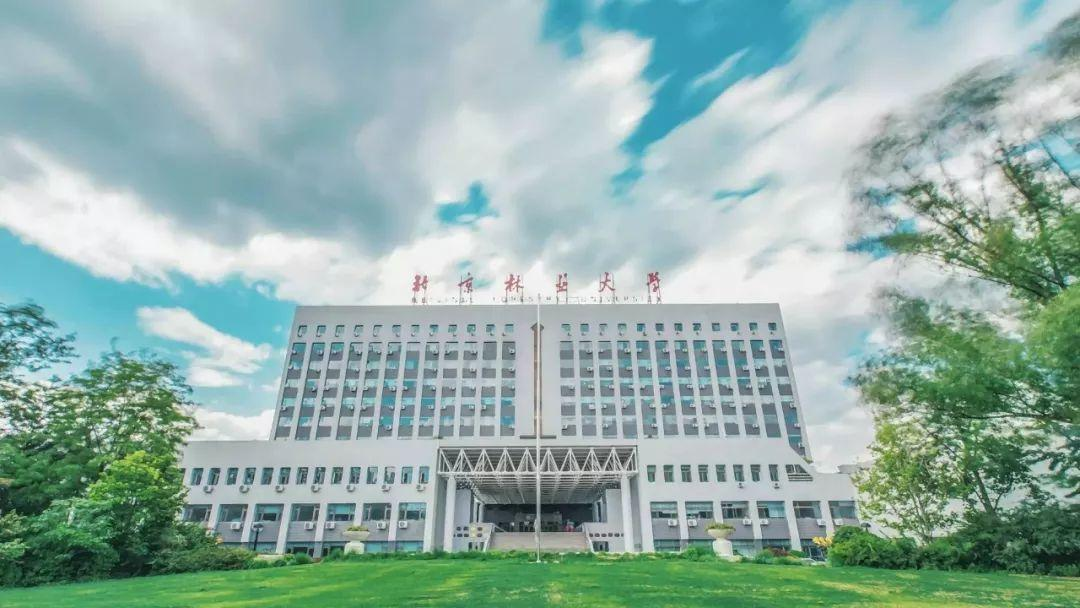 西南林业大学排名（北京林业大学为林业大学翘楚）