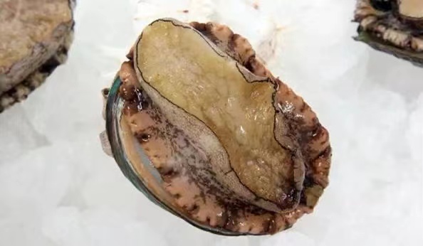 鮑魚哪些部位是可以吃的？