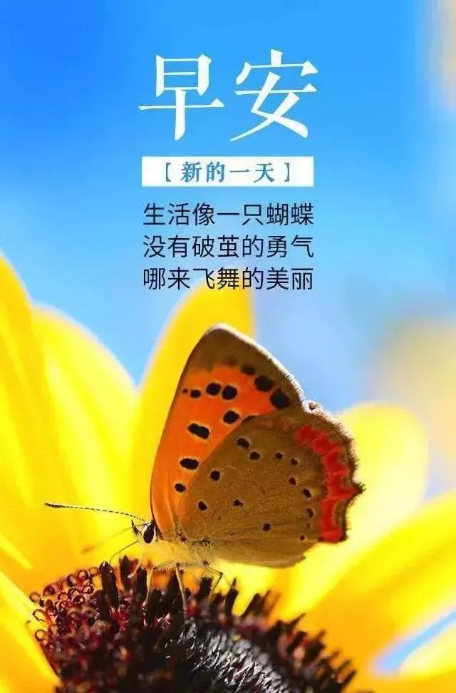 致女人的早安人生励志句子，没有特别幸运，就先特别努力