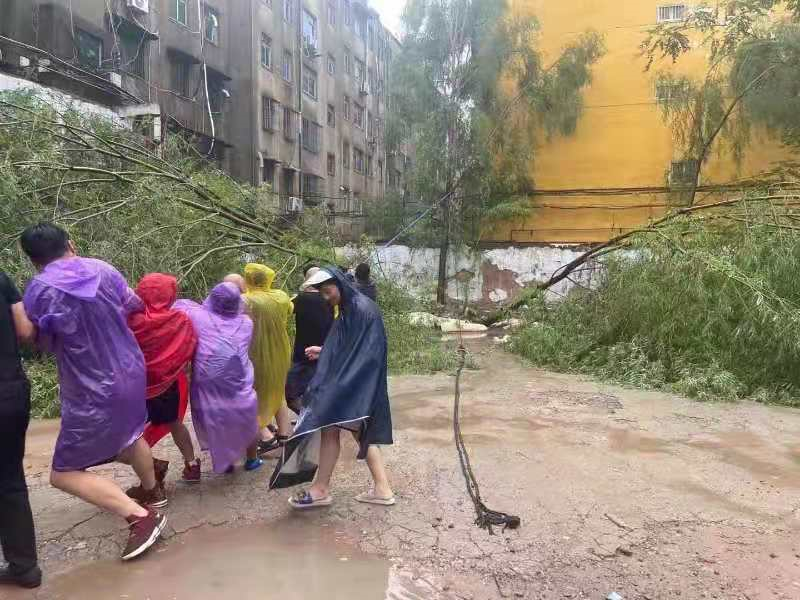 农大人的身影在前，我们“豫”难而上