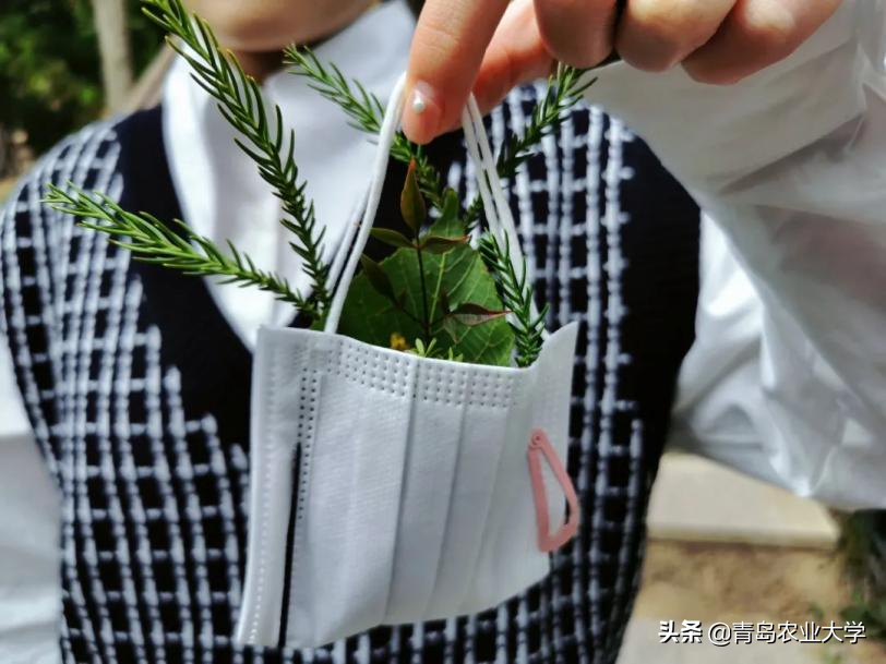 “别人家的”学校——青岛农业大学