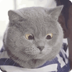 2020版最新法官、检察官表情大全！哈哈哈