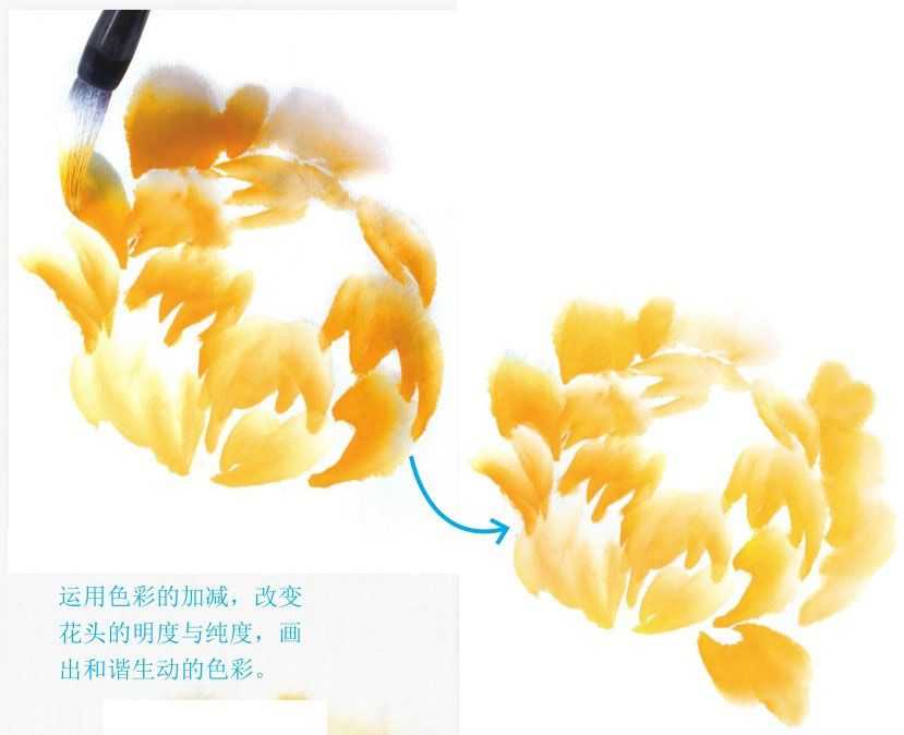 不同颜色牡丹怎么画？3种牡丹图解教你画，适合0基础学习，收藏