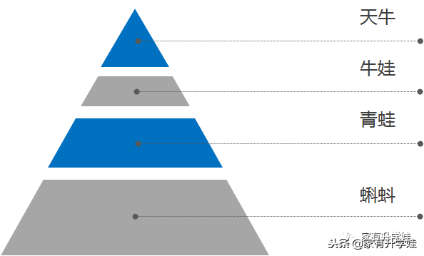 扫盲丨幼升小入门必须知道的11个名词和暗语！