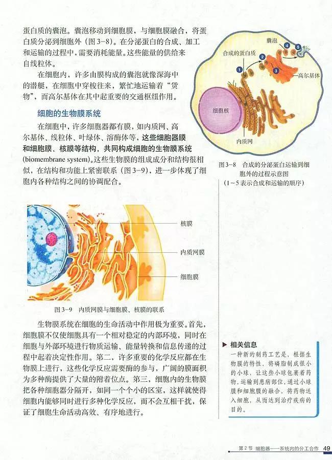 人教版高中生物（必修1）电子课本（高清版）