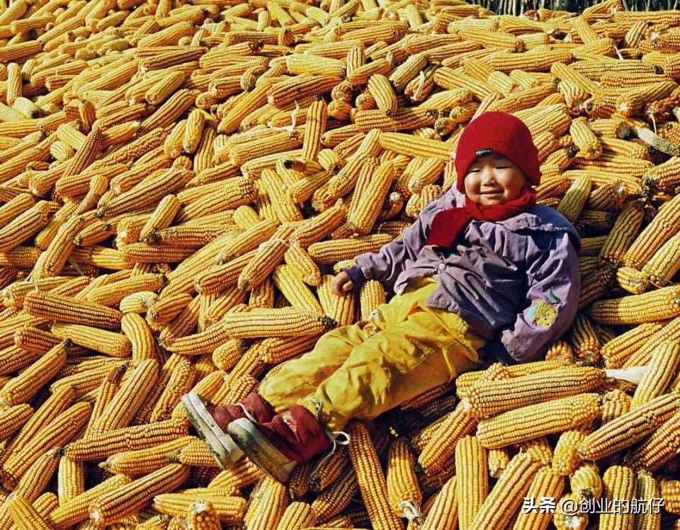 东北为啥容易招黑？是什么改变了你对东北人的认识？