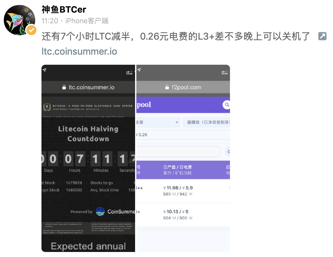 莱特币减半是如何成为利好的？离不开加密货币世界这群神秘的土豪