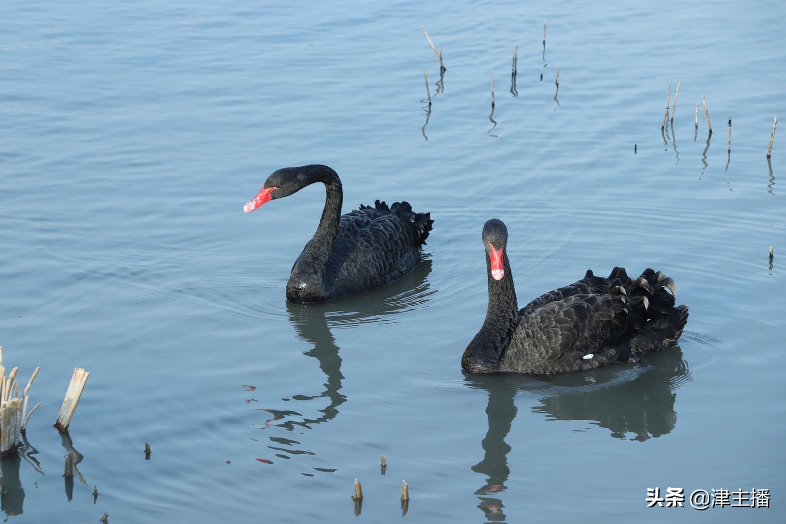 6月24日高考出分，天津有一所被低估的大学很值得一报