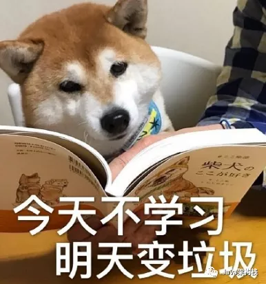 生产队上线丨千锋索尔《阿里RPC框架Dubbo源码级讲解》重磅来袭