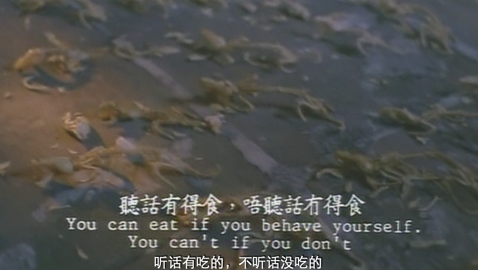 中国三圾片在线观看(无法在内地上映，这部生猛赤裸的华语巅峰之作，至今未被超越)