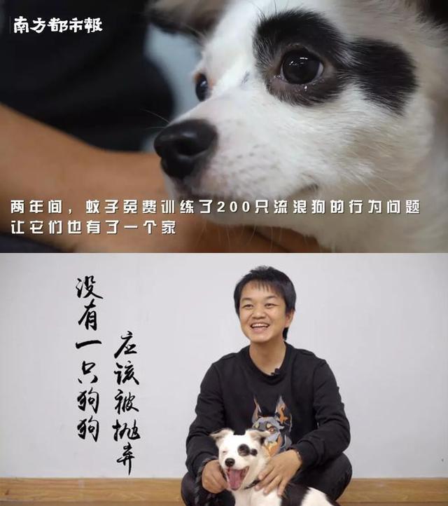 特别怕洗澡的京巴（北京犬），一言不合就想动口咬人