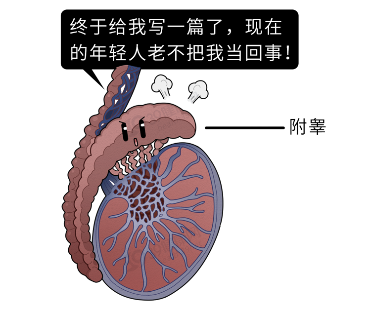提醒男性：“夫妻生活”过度，或可导致附睾炎！做好5点能预防