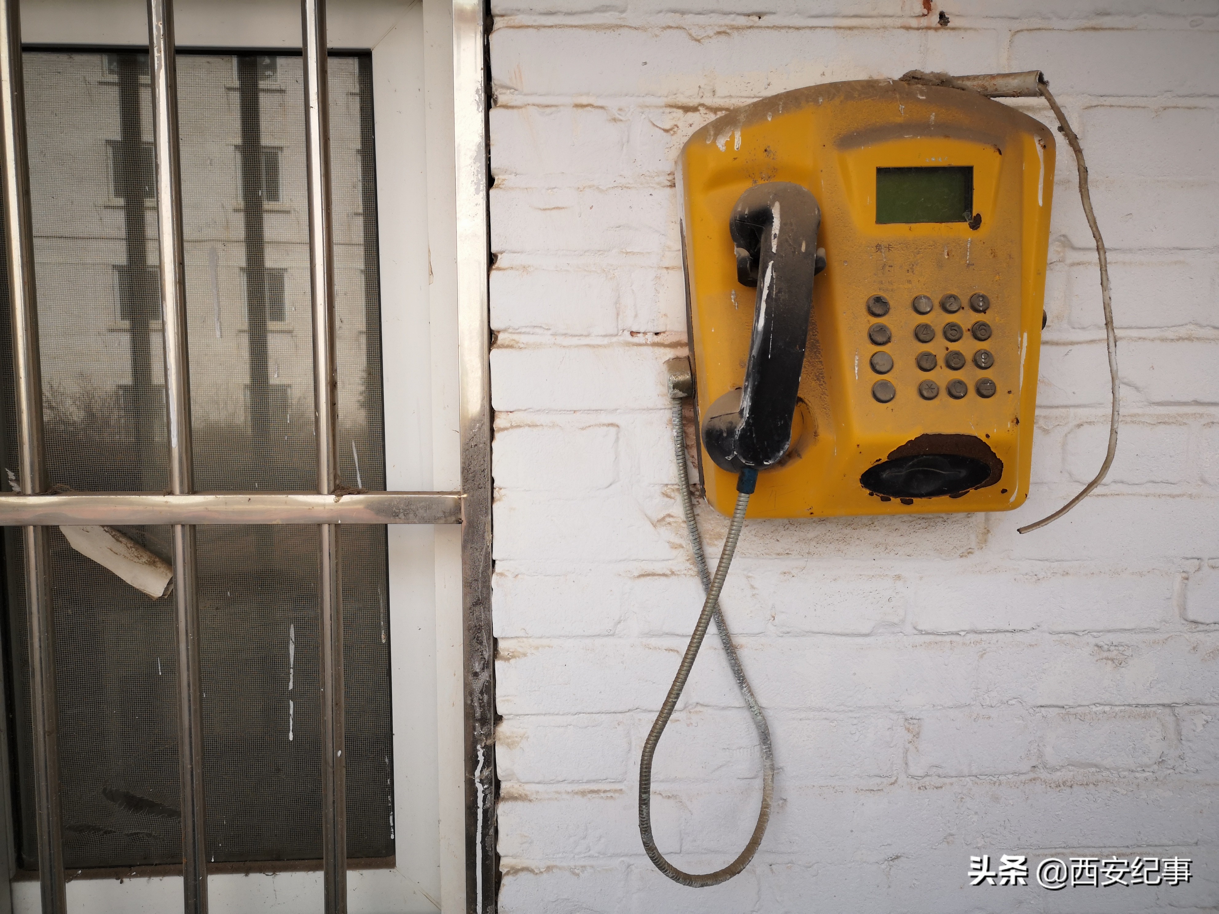 “被拍卖大学”系校长个人私产，含土地千亩，建筑12.56万平米