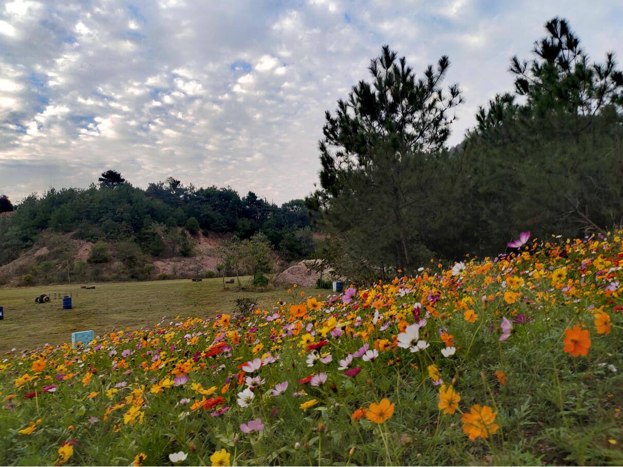 关于武汉蔡甸•九真山第三届登山节活动临时暂停的一封信