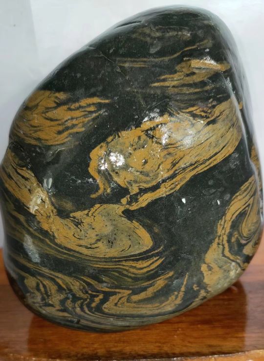 黄河石头鱼怎么养不容易死「记得收藏」 -骁龙网