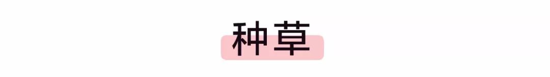 淘宝夏季内衣大全，满足你穿露背、露肩、一字肩的小心机！