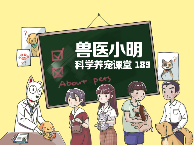 大学生虐猫事件引发众怒