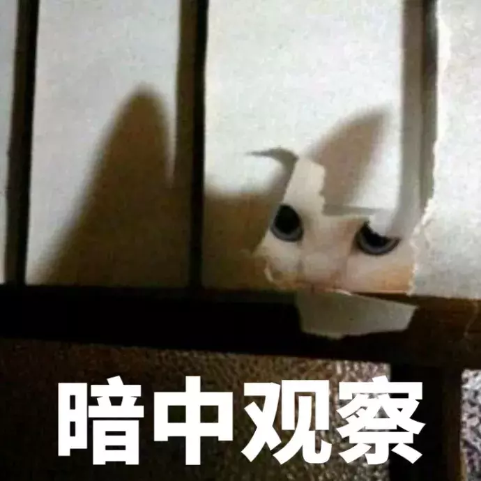 情侣微商卖假“新秀丽”箱包,一月赚20万买奔驰住别墅!