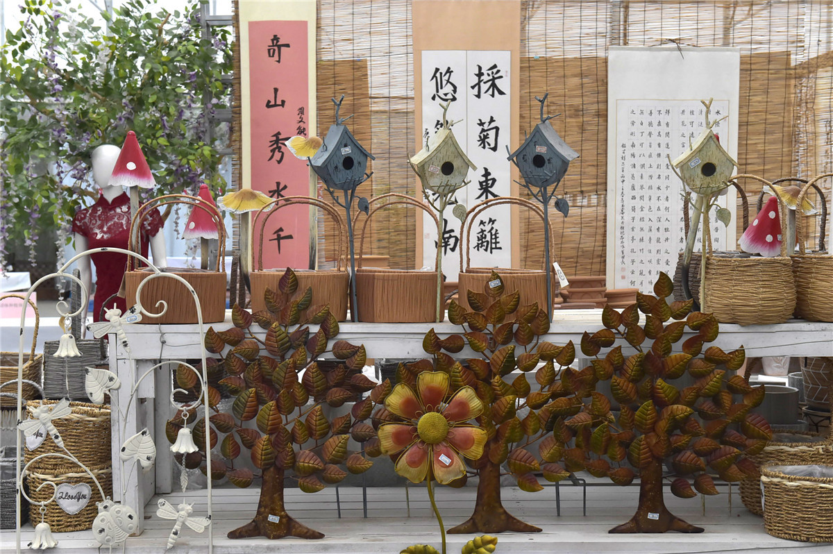 桂林：琳琅满目五彩缤纷的花卉超市