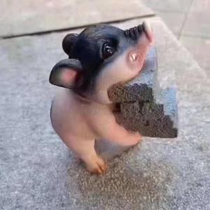 体育观者