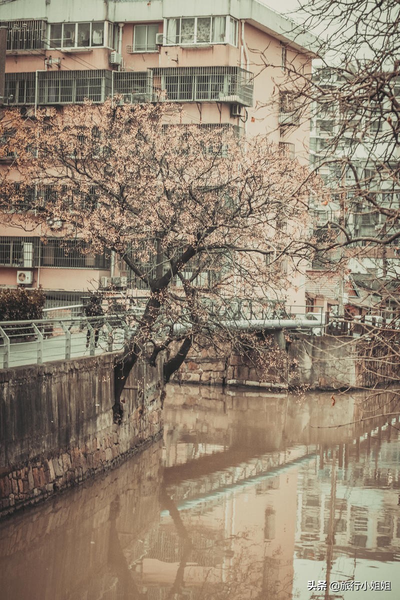 藏在石库门里的中式美学酒店：铂萃酒店·申味