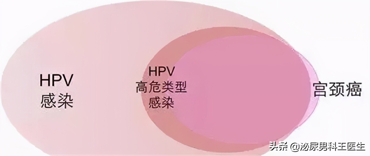 HPV疫苗对男性也有保护效力？这些疑问，医生都给你总结好了
