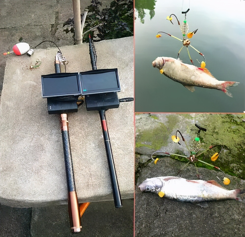 钓鱼人需要注意了！这6种垂钓被禁止，还有2种鱼饵不能用