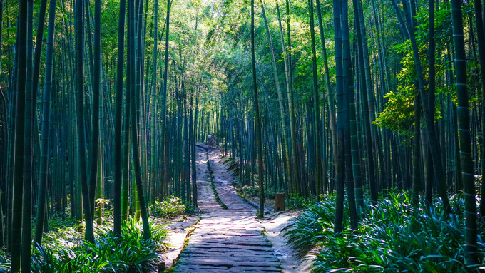 《卧虎藏龙》《十面埋伏》取景地，玩转蜀南竹海全攻略