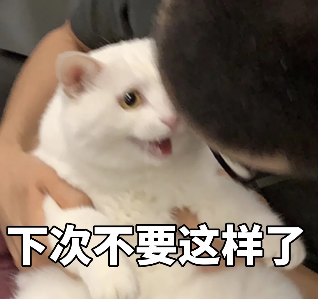 挤完公司10只猫的肛门腺后,办公室还好吗?