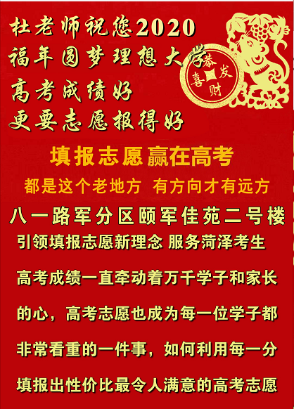 上海纽约大学专业（上海纽约大学2020年本科招生简章）
