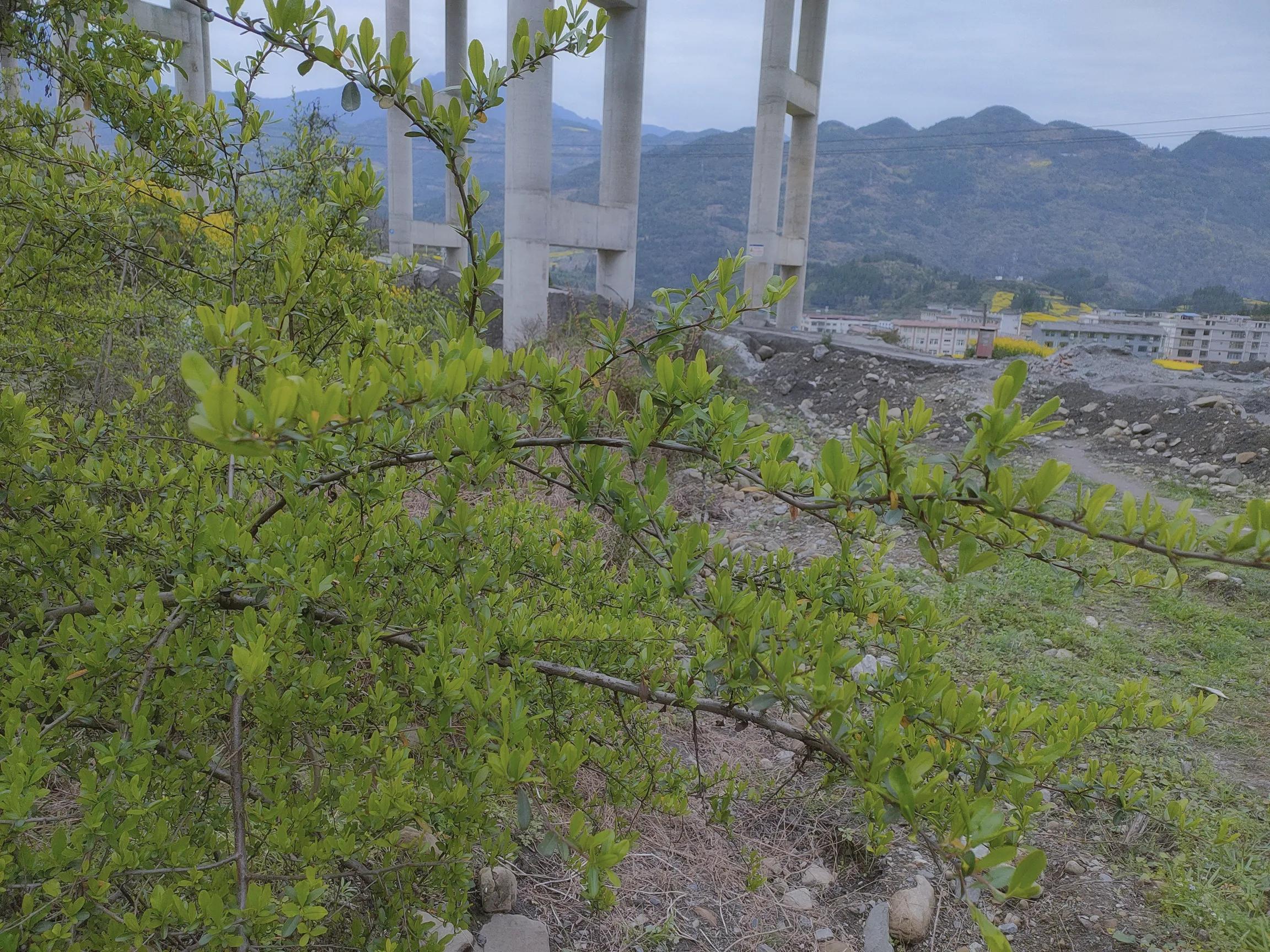 你有过一场和春天的约会吗？三月过半了，一起去抓住春天的尾巴吧