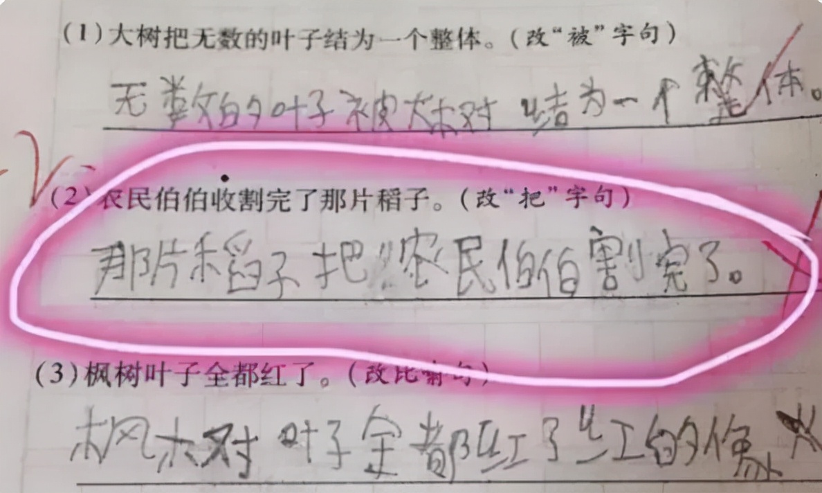 小学生再现童言无忌，写作文意外暴露爸爸的秘密，老师点评神助攻