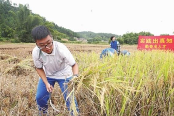 2021高考提前批录取分来了，清华663分起步，部分211院校招生遇冷