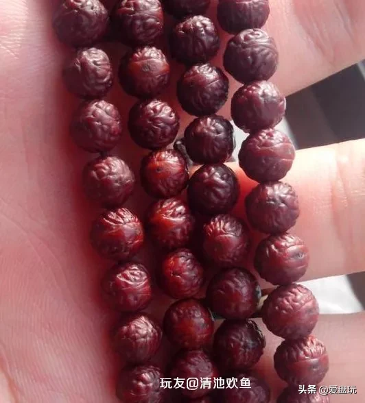 能在山上“白嫖”的10种手串,包浆超美