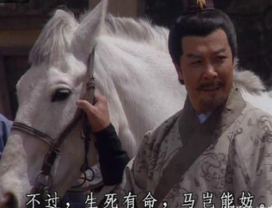 阮裕焚车文言文翻译阮裕焚车文言文翻译注释