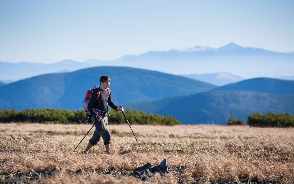 野人164、盛宇才的麻醉枪俘获了赫力兄妹，坎离山雪人迟到了