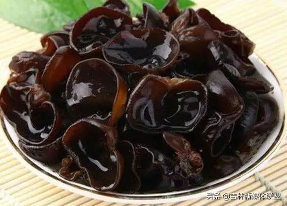 这是一篇透着“吉林温度”的广告！