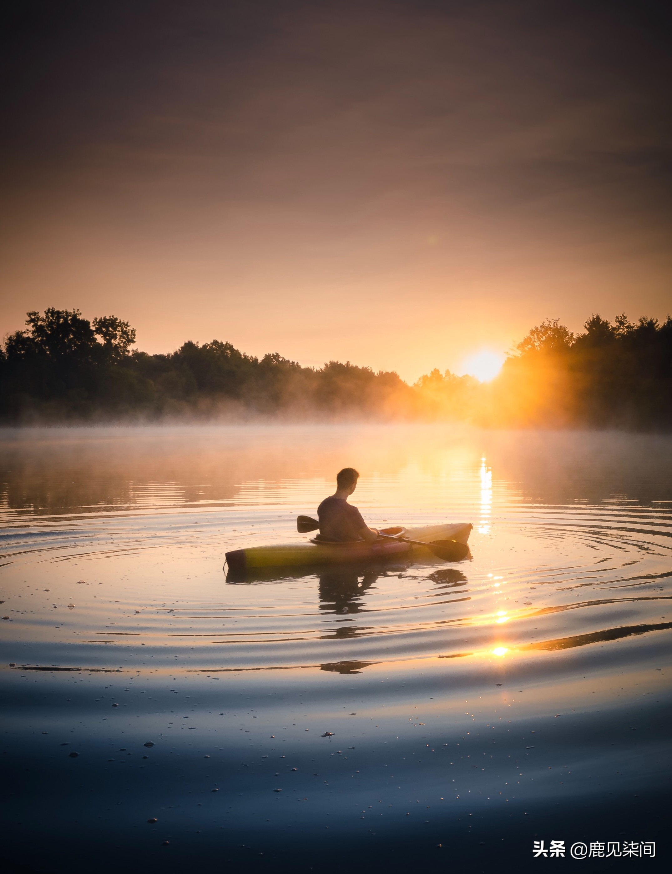 何洛洛放弃高考成了励志典范：这样的励志，或许你根本不配