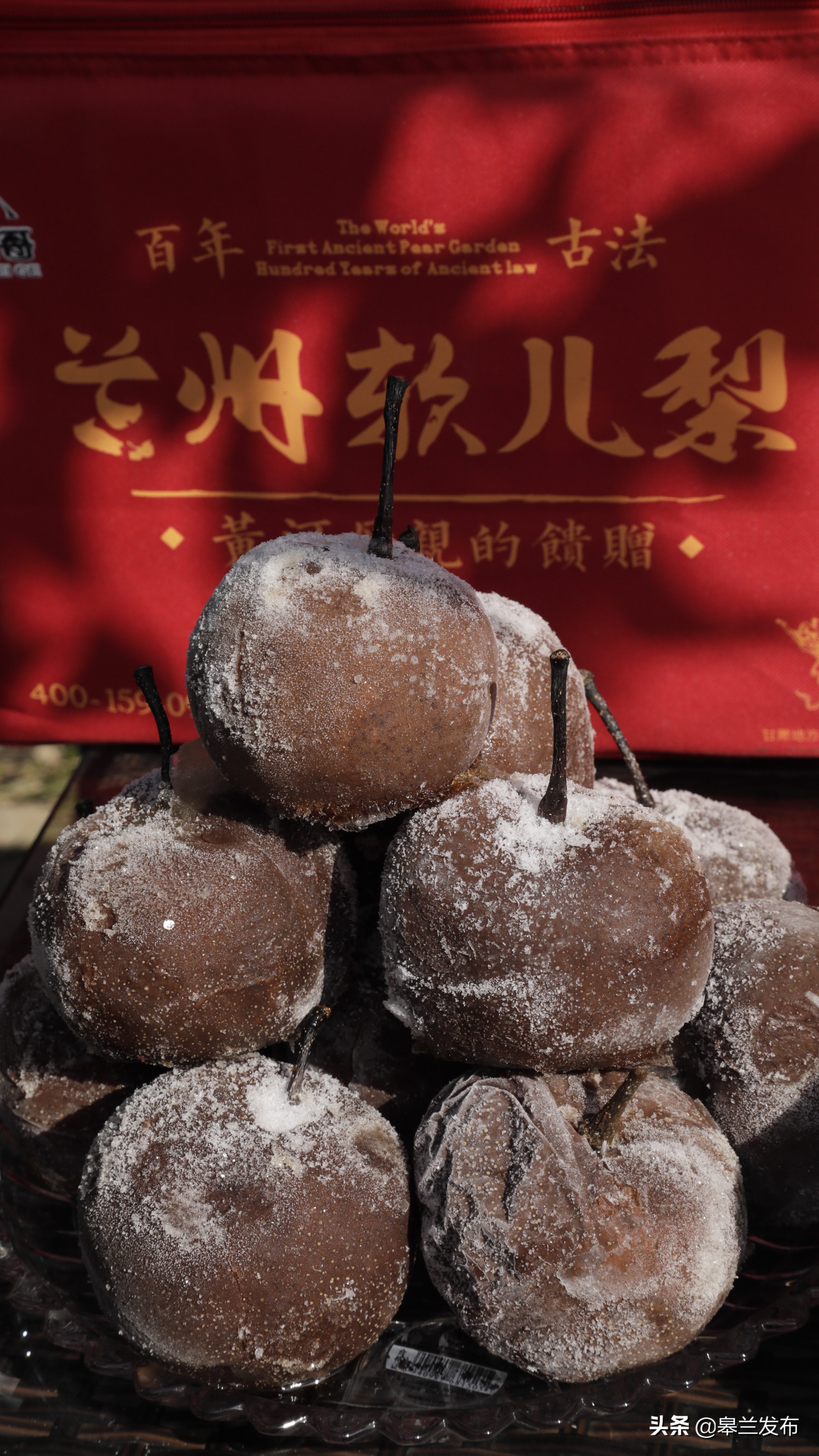 在做大做强软儿梨品牌的同时,皋兰县从产品包装的外观,历史,人文,地域